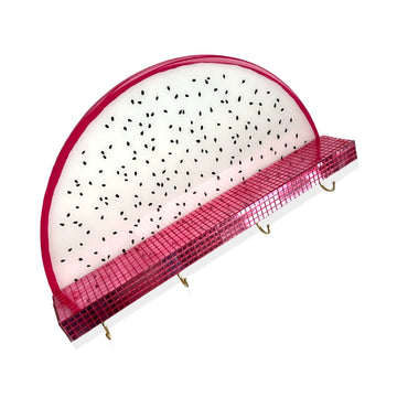 Dragonfruit key holder