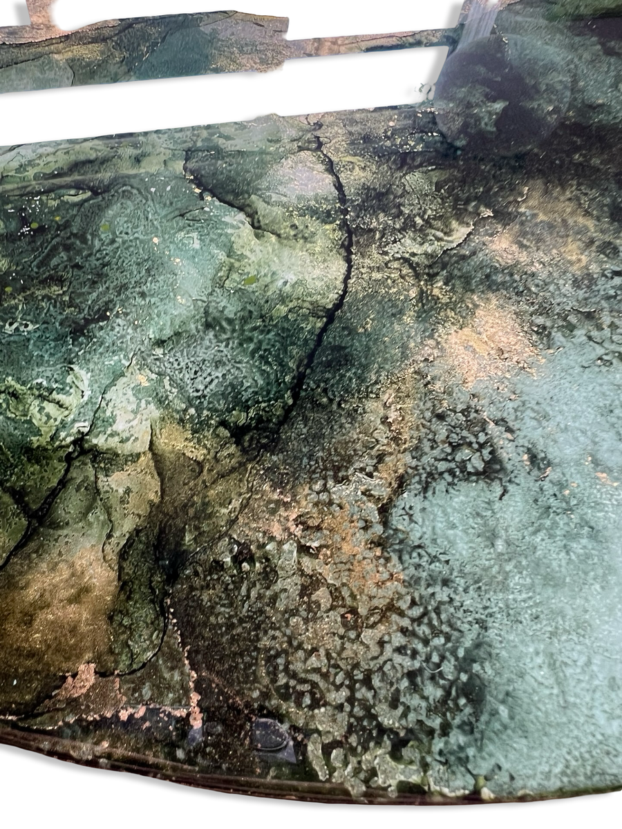 Streambed Moss