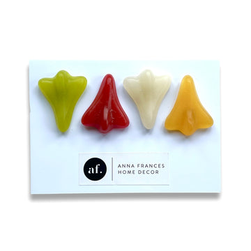 Jet plane magnets