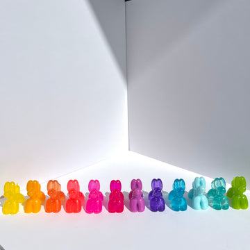 Mini balloon dog set