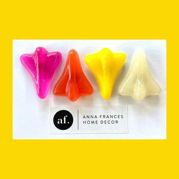 Jet plane magnets