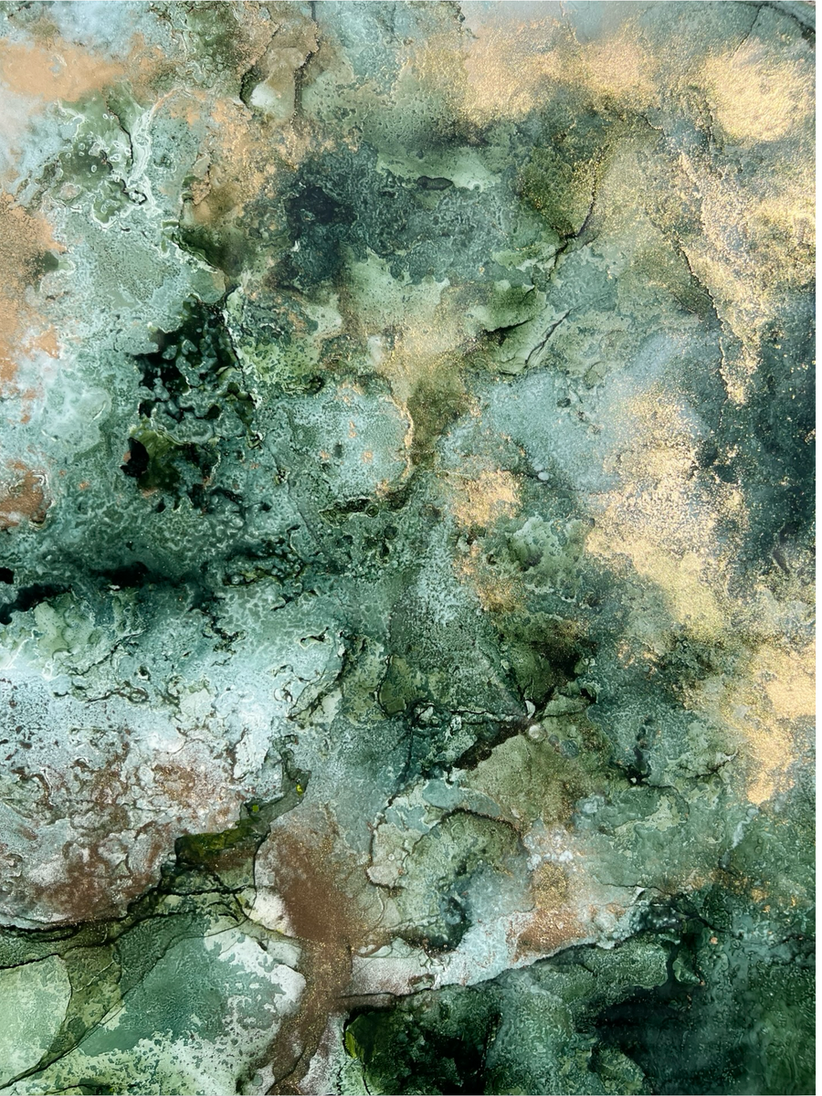 Streambed Moss