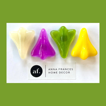 Jet plane magnets